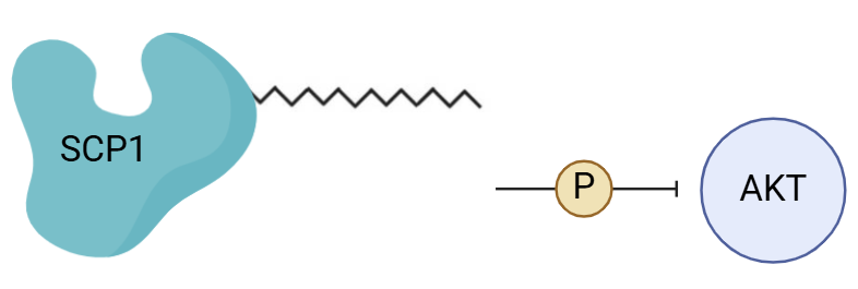 A black line with a yellow circle and a black line AI-generated content may be incorrect.