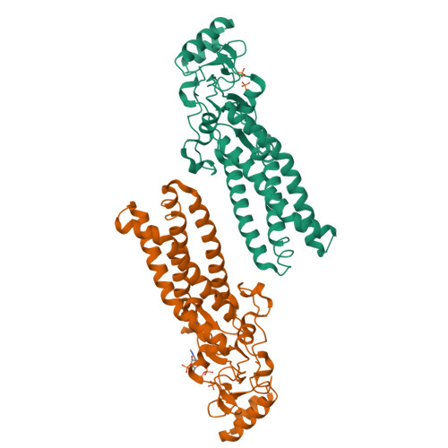 A close-up of several green and orange protein AI-generated content may be incorrect.