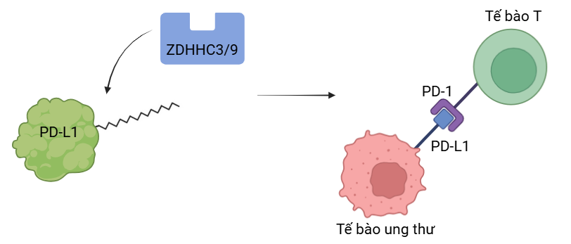 A diagram of a cell AI-generated content may be incorrect.