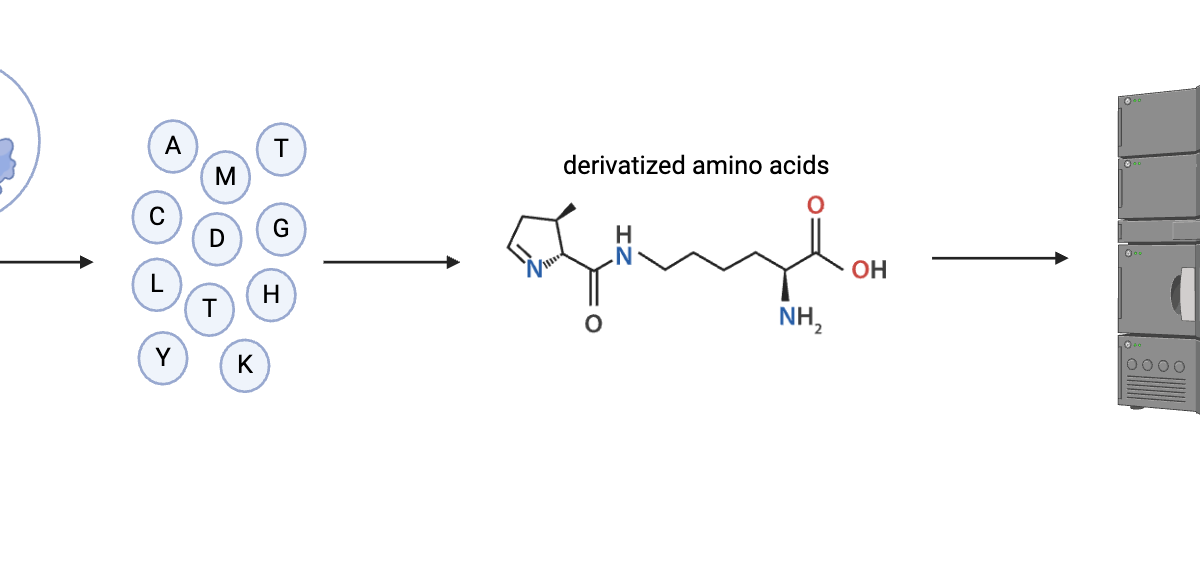A diagram of a chemical formula Description automatically generated