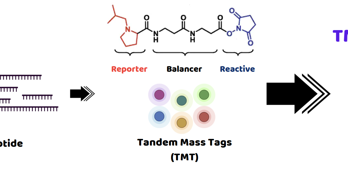 A diagram of a chemical structure AI-generated content may be incorrect.