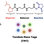 A diagram of a chemical structure AI-generated content may be incorrect.