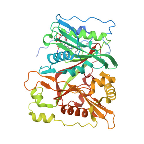 A structure of a protein AI-generated content may be incorrect.